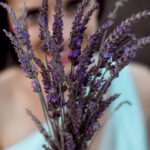 Lavendel-Shooting 2025. Foto 8