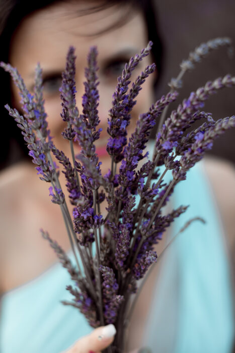Lavendel-Shooting 2025. Foto 8